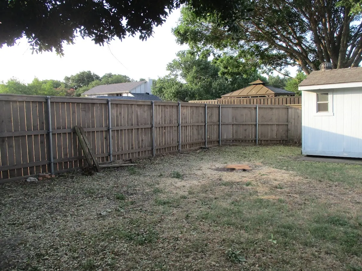 Cleared yard after professional tree removal in Indianola